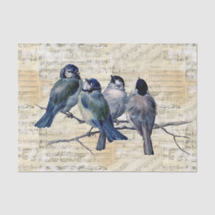 Papier Mousseline Feuille Vintage Blue Birds Music Tissus Paper