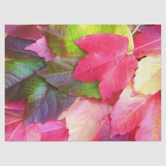 Papier Mousseline Feuilles d'automne brillantes Rouge Vert Or (Recto)