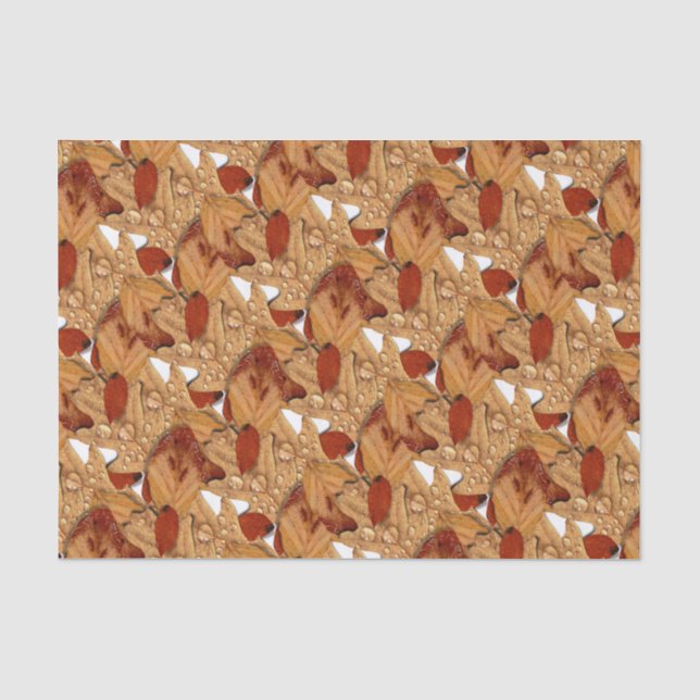 Papier Mousseline Feuilles d'automne humides (Recto)