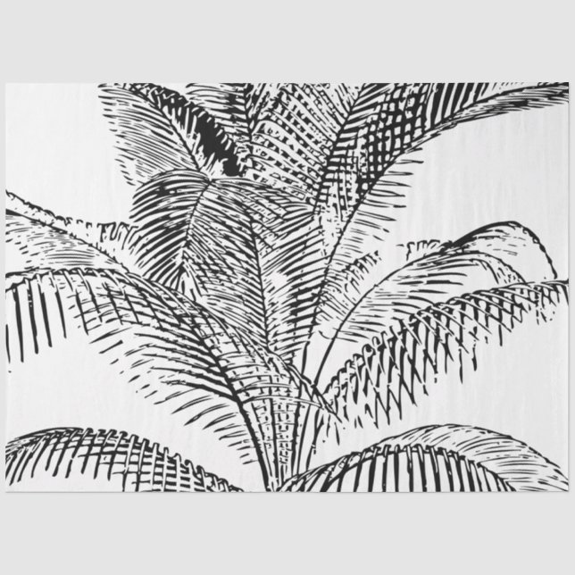 Papier Mousseline Feuilles de palmier noir et blanc Motif Abstrait (Recto)