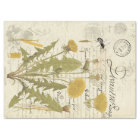 Feuilles de tissu de Decoupage de manuscrit de