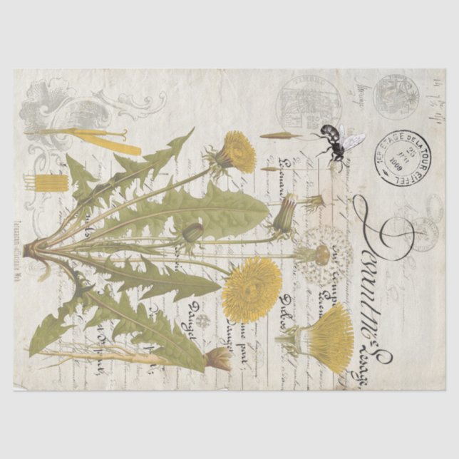 Papier Mousseline Feuilles de tissu de Decoupage de manuscrit de (Recto)