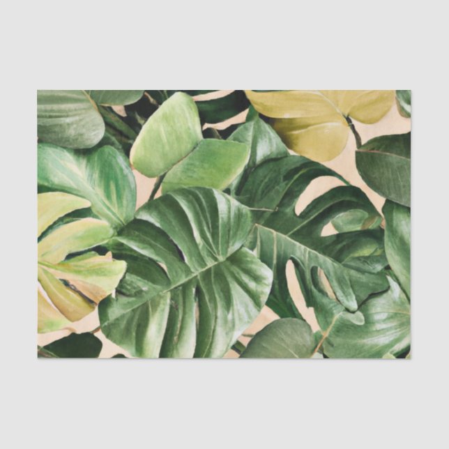 Papier Mousseline Feuilles florales/hawaïennes/tropicales (Recto)