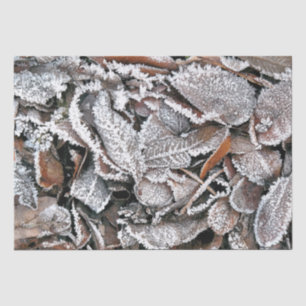 PAPIER MOUSSELINE FEUILLES HIVER
