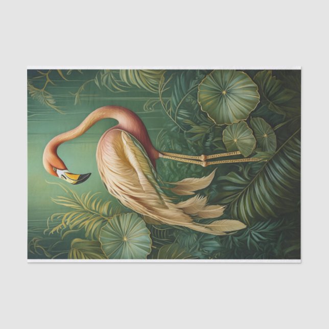 Papier Mousseline Finerie Flamant rose en plumes, Elégante Botanique (Recto)