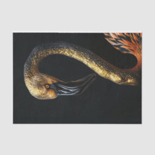 Papier Mousseline Flamant rose noir et or7