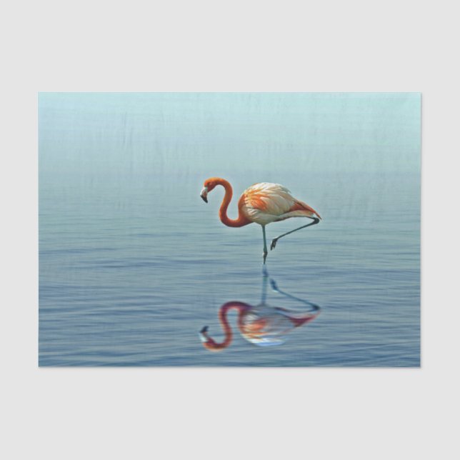 Papier Mousseline Flamant rose rose réflexion Faune photo (Recto)