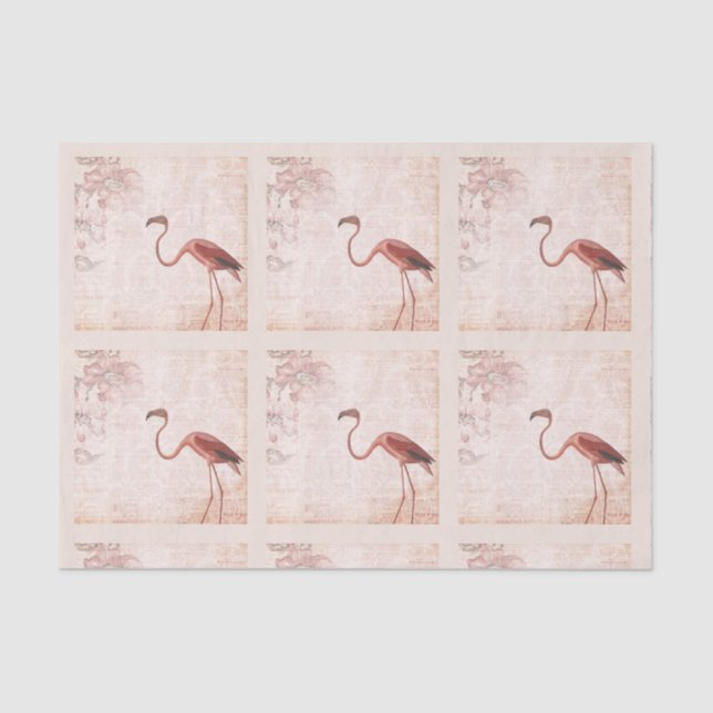 Papier Mousseline Flamant rose rose vintage (Recto)