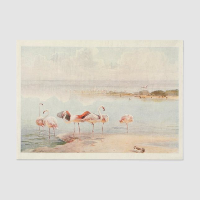 Papier Mousseline Flamants roses Ephémère d'oiseaux Découpage Art Vi (Recto)