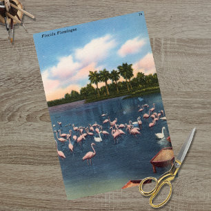 Papier Mousseline Flamants roses vintages de Floride