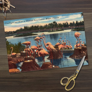 Papier Mousseline Flamants roses vintages sur les nids à Miami en Fl