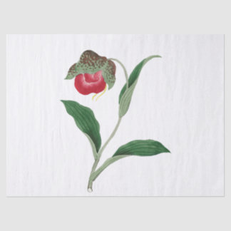 Papier Mousseline Fleur