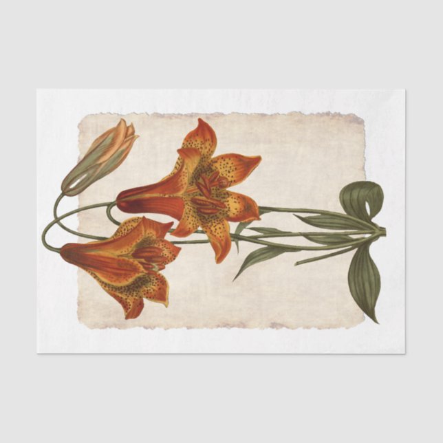 Papier Mousseline Fleur 43 Tiger Lily Découpage Papier de tissus (Recto)