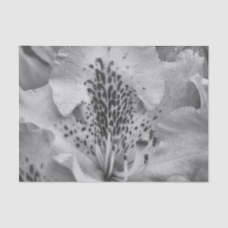 Papier Mousseline fleur grise