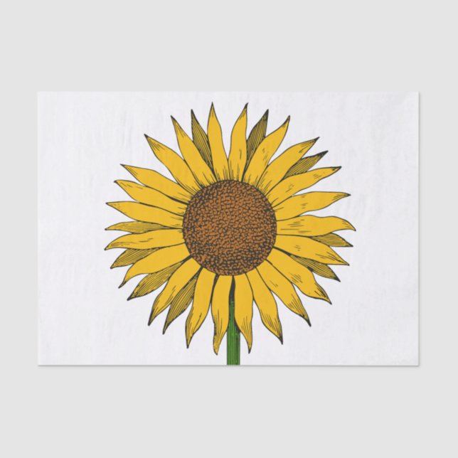 Papier Mousseline Fleur jaune de tournesol (Recto)