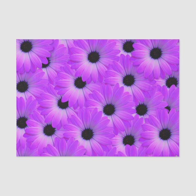 Papier Mousseline Fleur marguerite violette fleurie mignonne été (Recto)