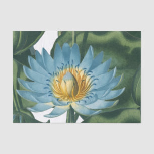 Papier Mousseline Fleur Nénuphar bleu Vintage