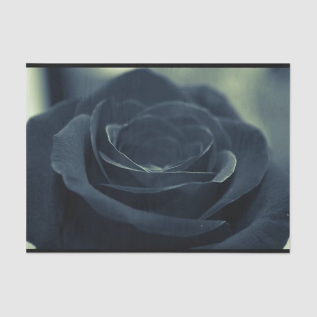 Papier Mousseline Fleur noire Rose Vibe gothique foncé (Recto)