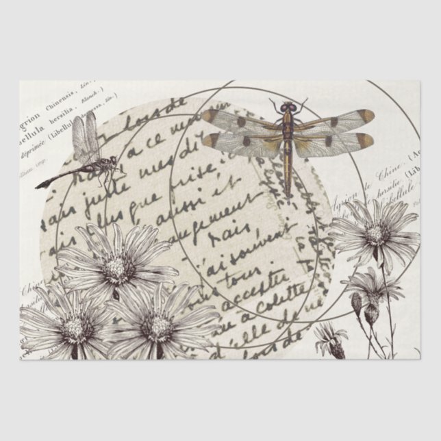 Papier Mousseline Fleur sauvage de libellules Cercle Français Mots D (Recto)