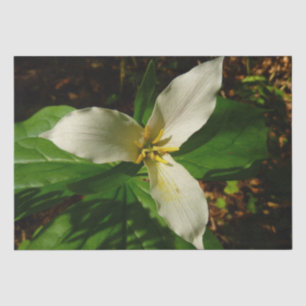 Papier Mousseline Fleur sauvage de printemps blanc Trillium Flower