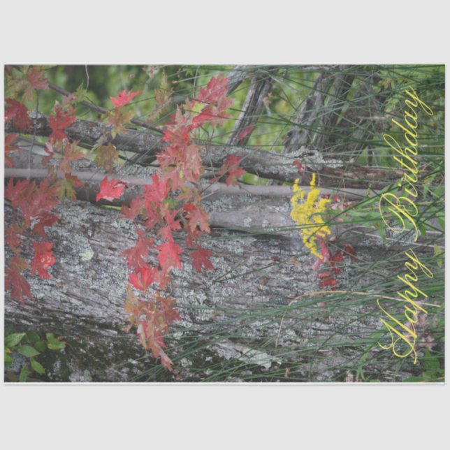 Papier Mousseline Fleur sauvage Joyeux anniversaire (Recto)