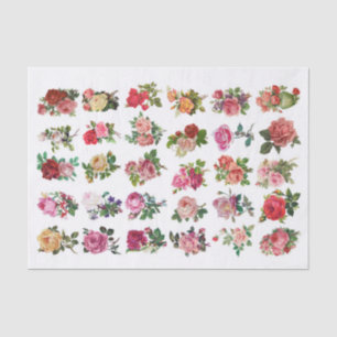 Papier Mousseline Fleurs botaniques Vintages authentiques (pas AI)