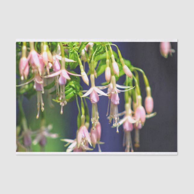 Papier Mousseline Fleurs de Ballerina (Recto)