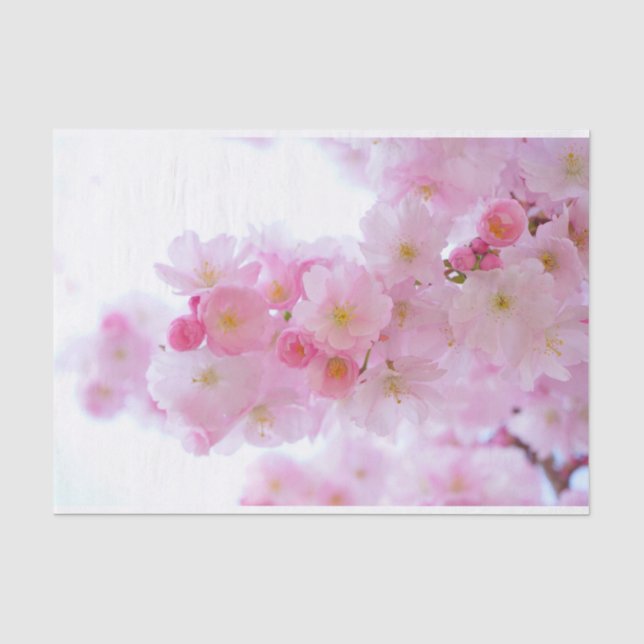 Papier Mousseline Fleurs de cerisier japonaises (Recto)