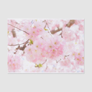 Papier Mousseline Fleurs de cerisier roses de Sakura d'arbre