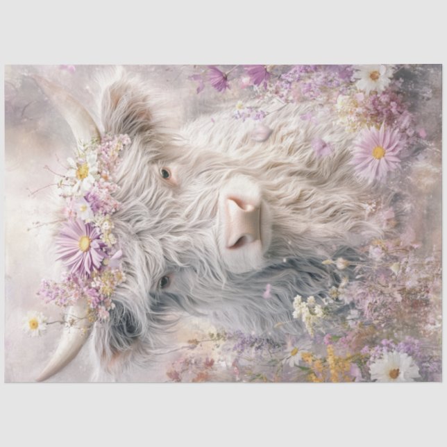 Papier Mousseline Fleurs de couronne de vache de haute-terre fluffy  (Recto)