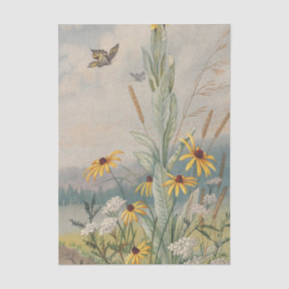 Papier Mousseline Fleurs de la Prairie par Louis Prang