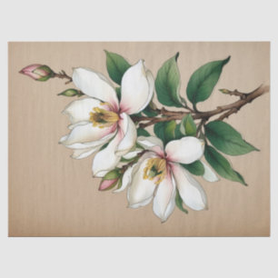 Papier Mousseline Fleurs de Magnolia