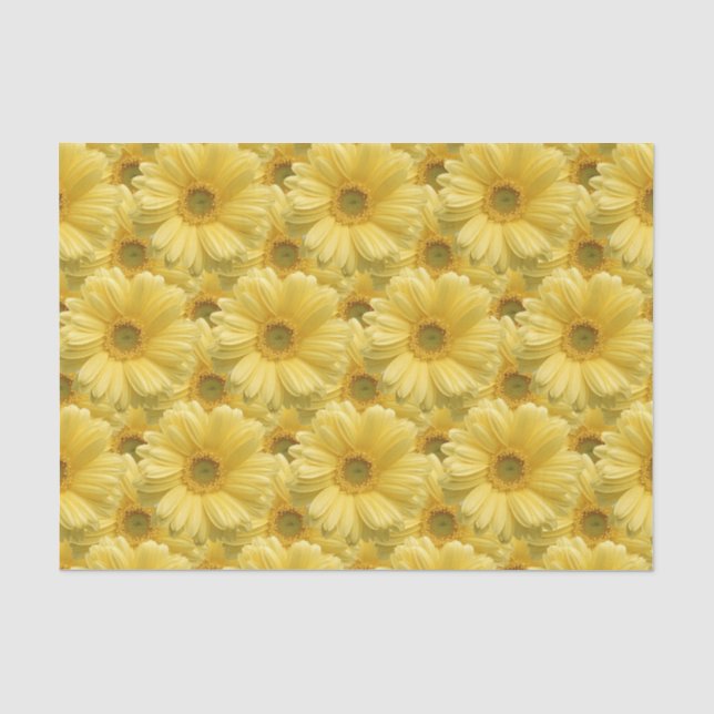 Papier Mousseline Fleurs de marguerites jaunes Papier Tissu (Recto)