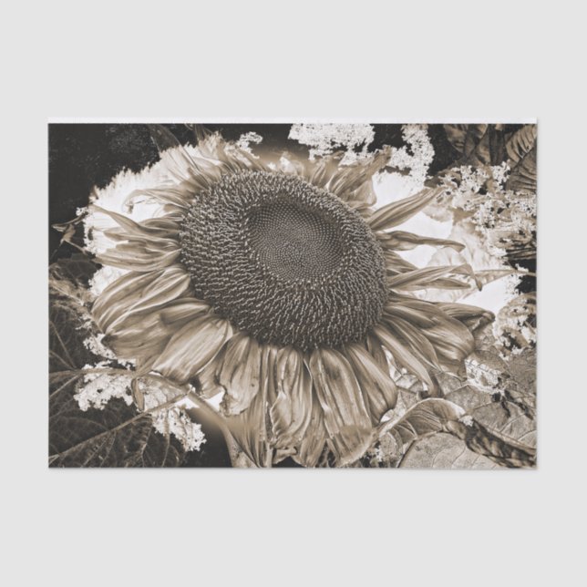 Papier Mousseline Fleurs de soleil géantes Sepia rustique Tone Vinta (Recto)