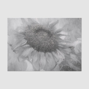 Papier Mousseline Fleurs De Soleil Géantes Vintage Art Noir Et Blanc