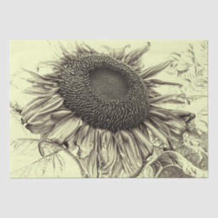 Papier Mousseline Fleurs de soleil géantes Vintage Découpage jaune r