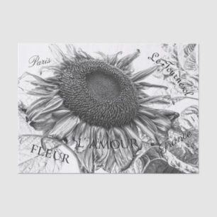 Papier Mousseline Fleurs de soleil géantes Vintage noir et blanc Scr