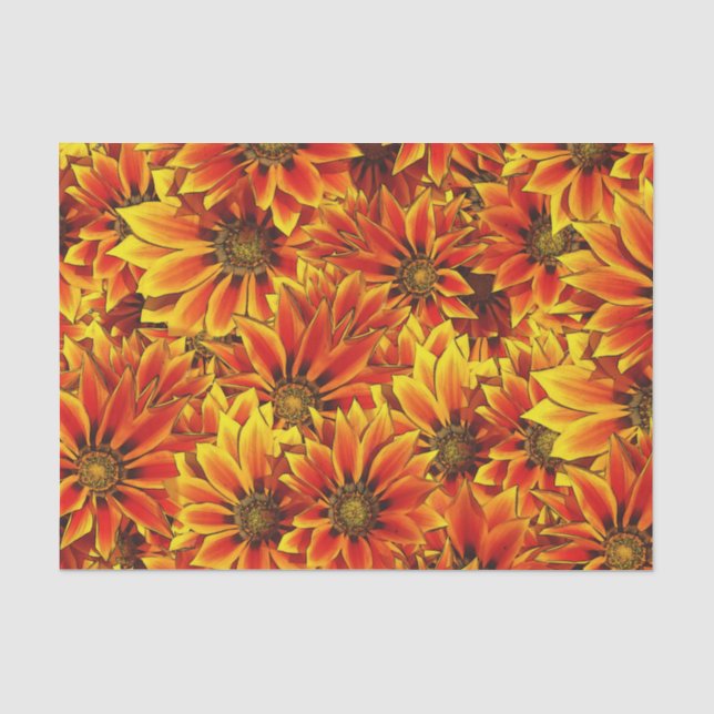 Papier Mousseline Fleurs de soleil orange (Recto)