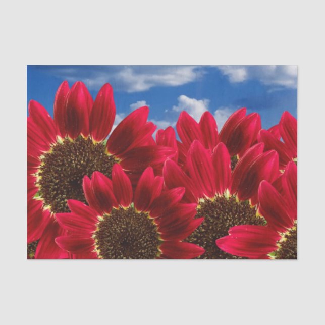 Papier Mousseline Fleurs de soleil rouges et Ciel bleu - Papier de t (Recto)