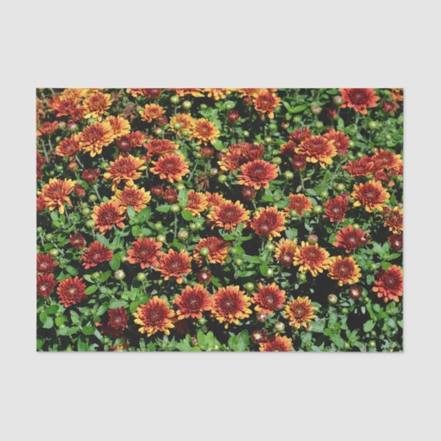 Papier Mousseline Fleurs orange et rouge (Recto)