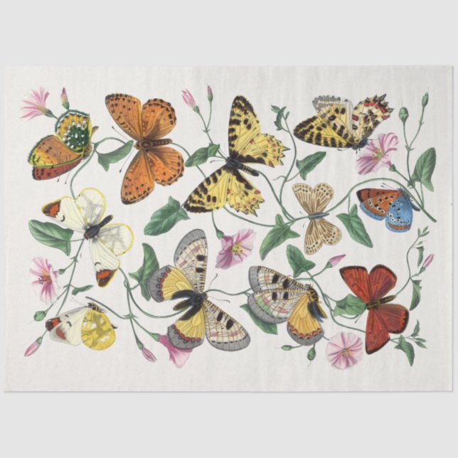 Papier Mousseline Fleurs papillons papillons papillons papillons pap (Recto)