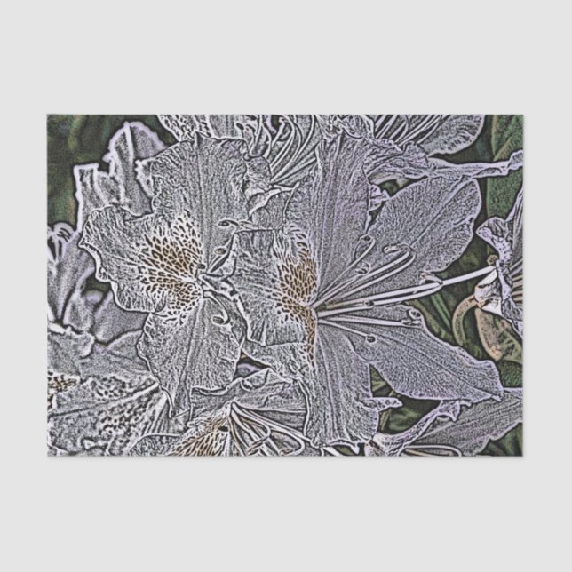 PAPIER MOUSSELINE FLEURS RHODODENDRON (Recto)