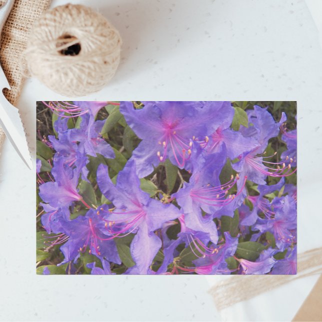 Papier Mousseline Fleurs Rhododendron Violet Floral (In Situ)
