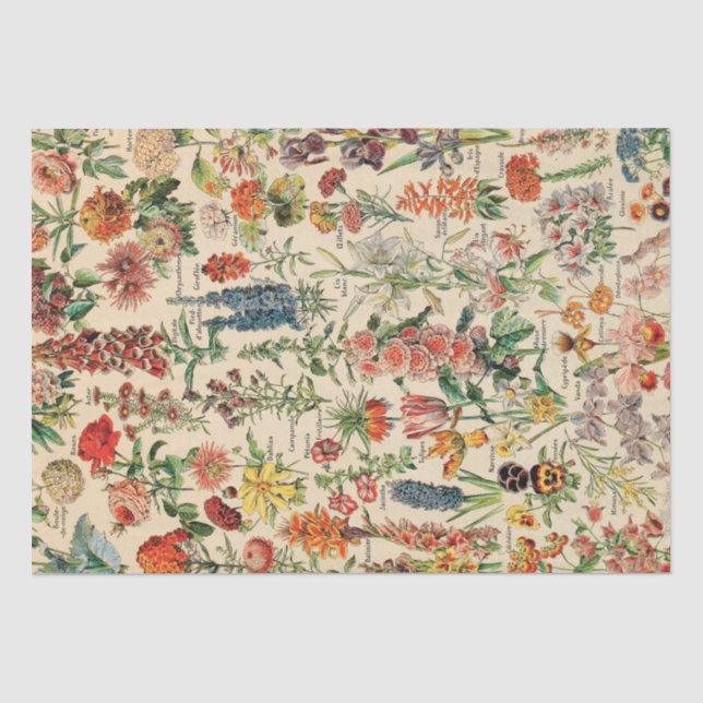 Papier Mousseline Fleurs vintages (Recto)