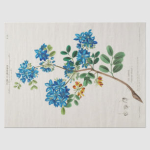 Papier Mousseline Fleurs vintages bleues florales Ephémère Découpage
