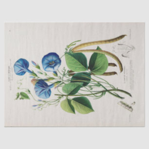 Papier Mousseline Fleurs vintages Florales Bleues Ephémère Découpage