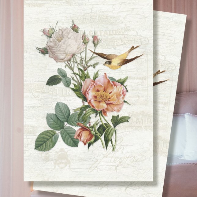 Papier Mousseline Fleurs vintages Oiseaux Ephémères Botaniques Décou (Créateur téléchargé)
