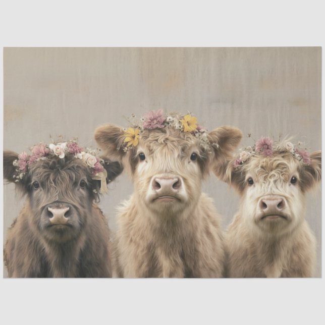 Papier Mousseline Floral Couronné Vaches Highland Rustique Whimsy Pa (Recto)