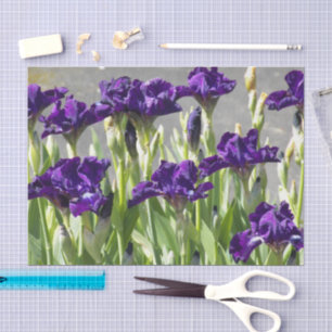 Papier Mousseline Floral d'Irises violettes profondes