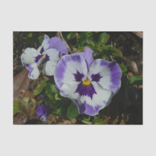 Papier Mousseline Floral Purple and White Pansies